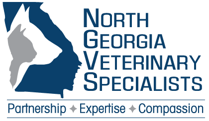 North Georgia Veterinary Specialists