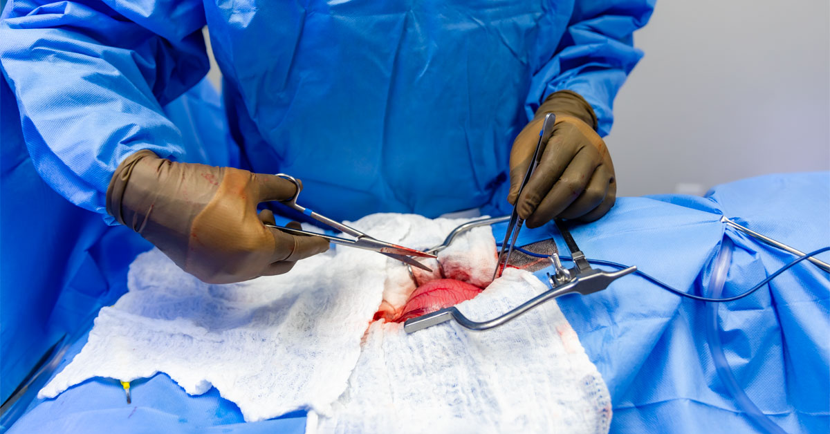 Veterinary Soft Tissue Surgery