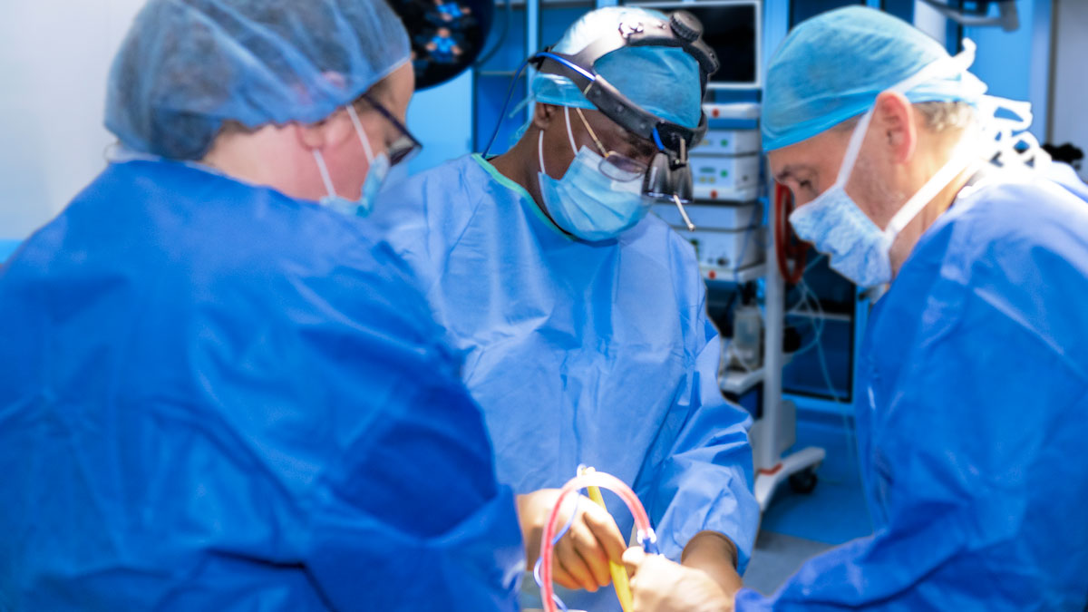 veterinary emergency surgery in an operating room.