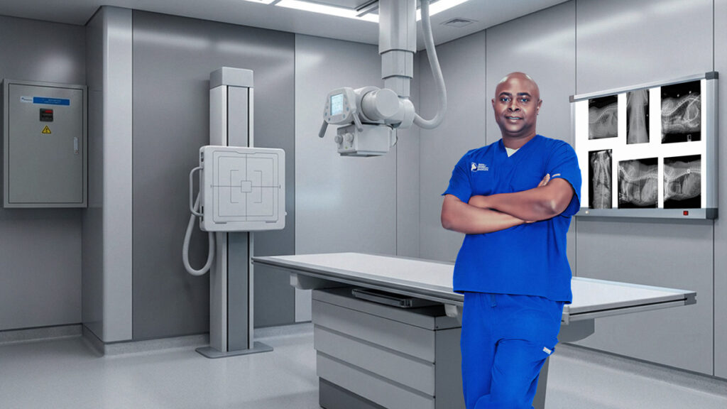 Chylothorax in dogs and cats