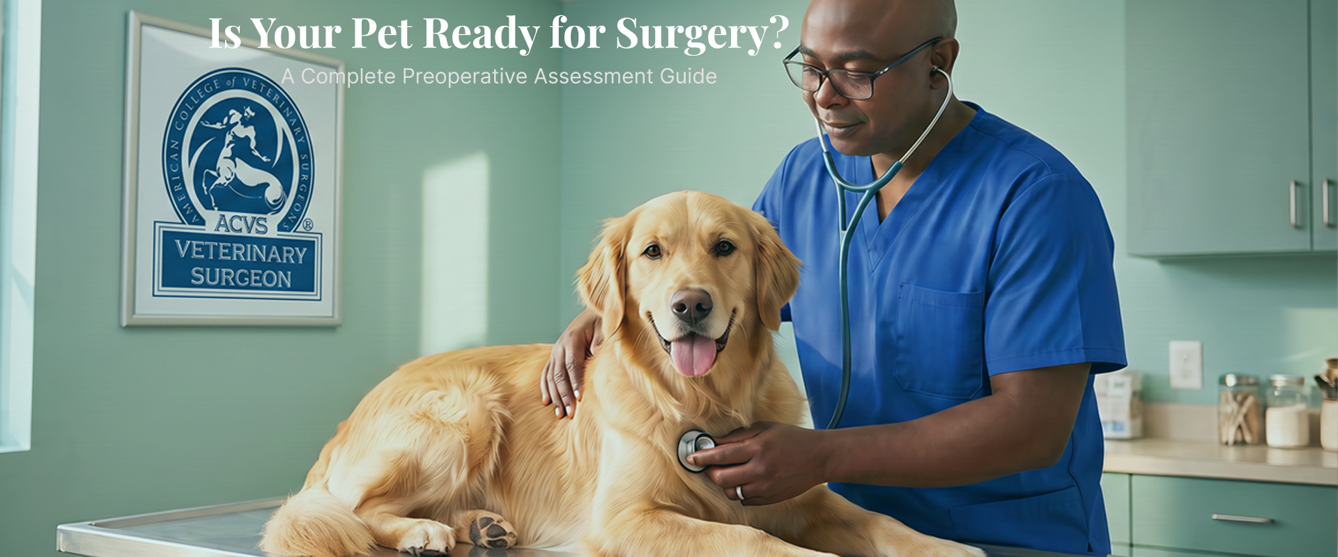 Blog 84 A veterinarian performs a preoperative examination on a calm dog in a modern veterinary clinic.